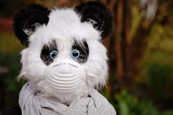 West Casino Assistance